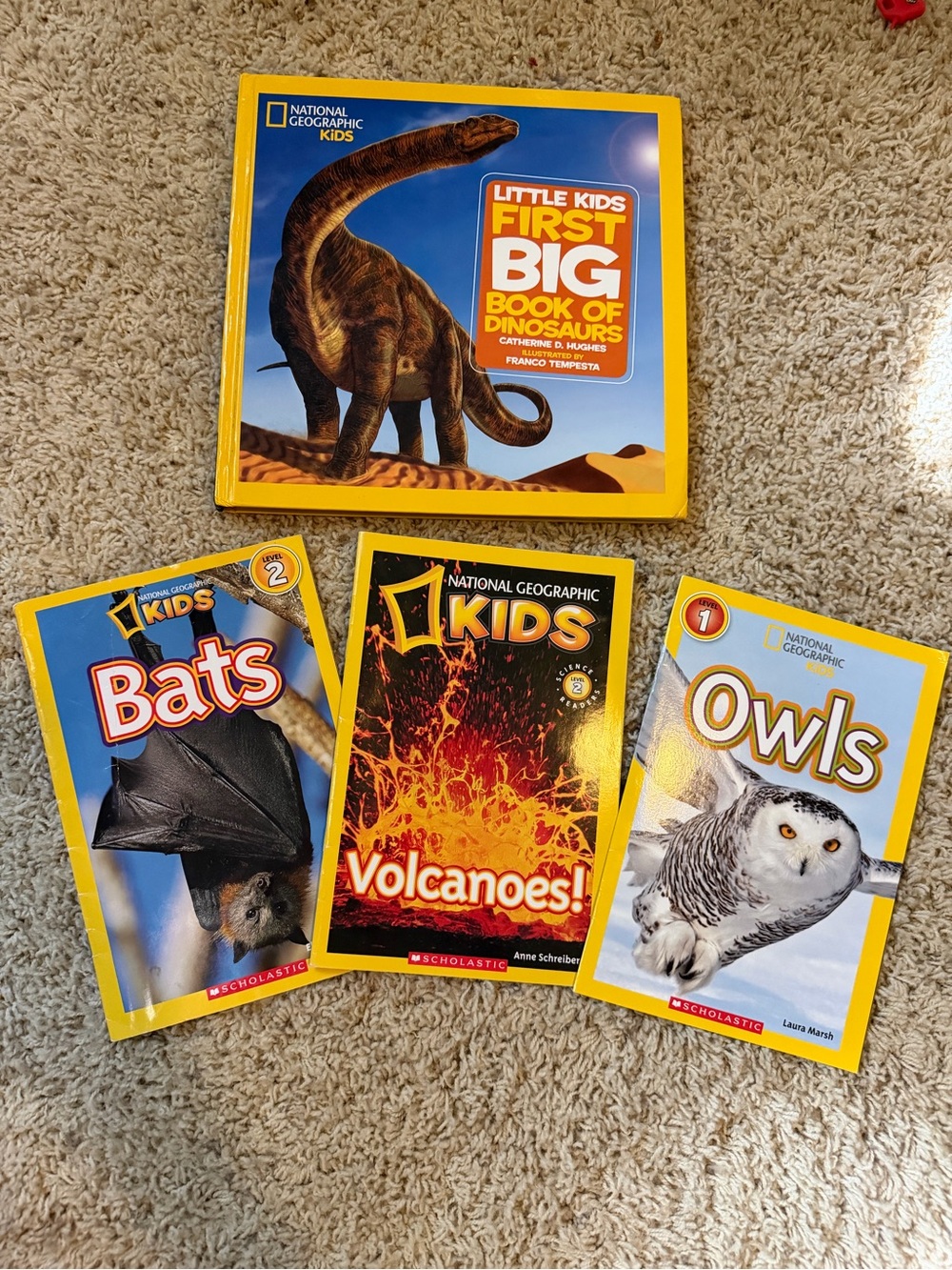 National Geographic Kids Bright Yellow & Blue Animal Science Book Bundle